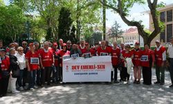 Seyyanen zam için kritik süreç: Emekliler AYM kararını bekliyor