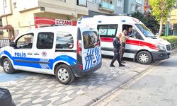 Vişnelik'te yaşlı kadına otomobil çarptı