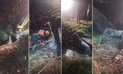 71 Evler’de kuyuya düşen atı AFAD ekipleri kurtardı