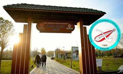 Eskişehir’de 1 ton hamsi ikram edilecek! Karadeniz Festivali için tarih belli oldu