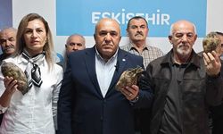 Eskişehir’de pancar üreticisinin gözü Ankara’da: Gürol Yer beklenen rakamı açıkladı