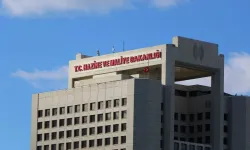 Hazine ve Maliye Bakan Yardımcısı Osman Çelik görevinden ayrılıyor mu?