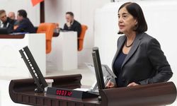 Jale Nur Süllü’den fon yasasına sert tepki: “Kurda kuzu emanet ediliyor”