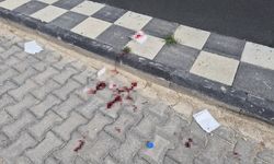 Yeşil Meydan Caddesi'nde Bıçaklı Saldırı: 16 Yaşındaki Genç Yaralandı