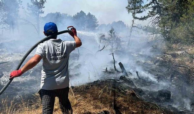 Bakan Yumaklı'dan Orman Yangınları Açıklaması: 4 İlde Yangınlar Tamamen Kontrol Altında