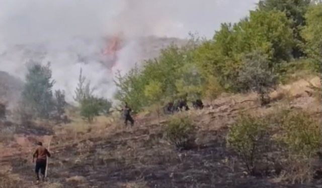Örtü Yangını Paniği! Ekipler Alevleri Büyümeden Söndürdü