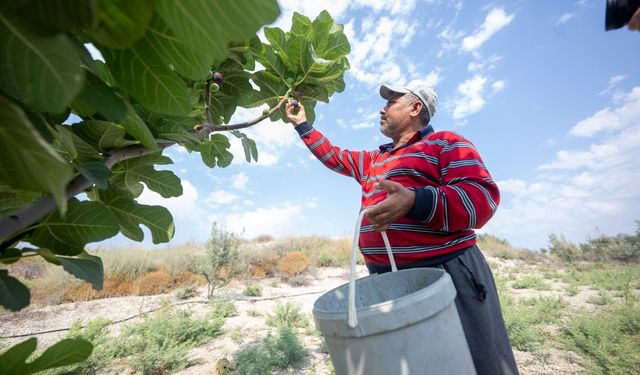 6 yılda meyvesini verdi: Bu yatırım çiftçinin yüzünü güldürdü