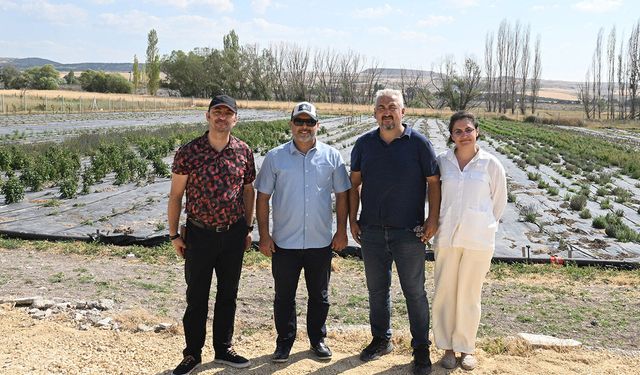 Anadolu Üniversitesi Tıbbi ve Aromatik Bitkileri Bilimle Geleceğe Taşıyor