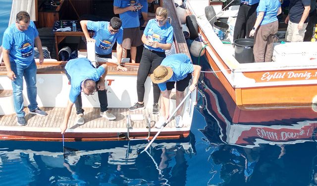 Eskişehir’de doğan 13 köpek balığı denize bırakıldı