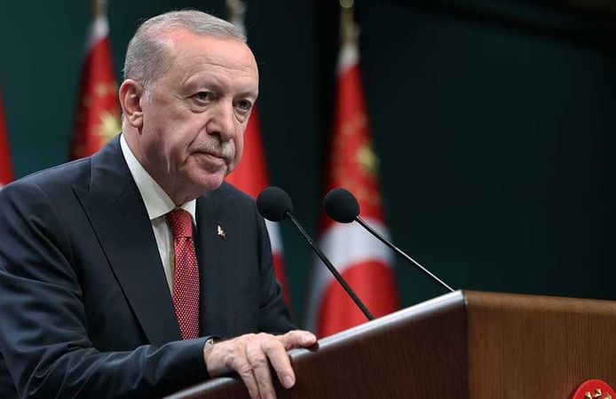 Cumhurbaşkanı Erdoğan: Basın özgürlüğüyle ve eleştirel seslerle sorunumuz yok