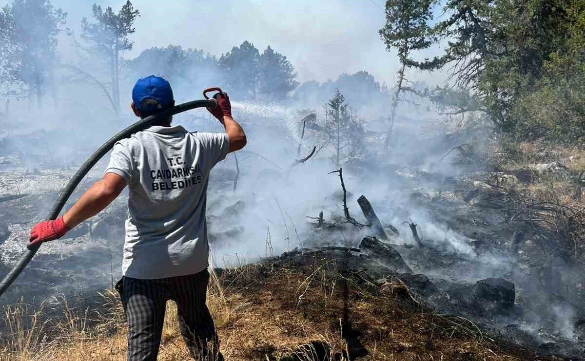 Orman Yangınlarında Adli Bilanço Açıklandı: 43 Şüpheli, 11 Tutuklama
