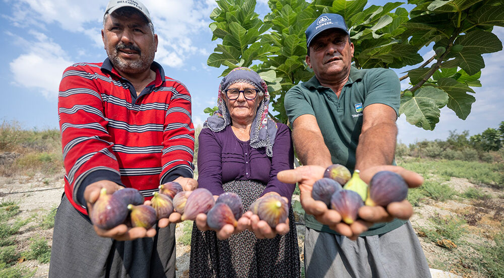 6 Yılda Meyvesini Verdi Bu Yatırım Çiftçinin Yüzünü Güldürdü-1
