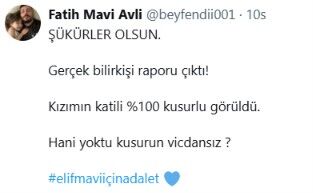 Elif Mavi-1
